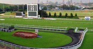 turffontein racing picks gold circle.